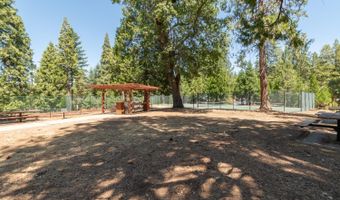 100 Splash Dam Way, Arnold, CA 95223
