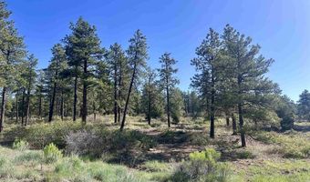 782 Hawks Meadow Dr, Bayfield, CO 81122