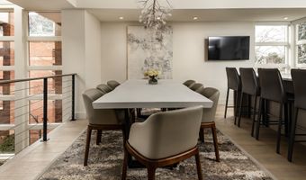 704 E Hyman Ave, Aspen, CO 81611