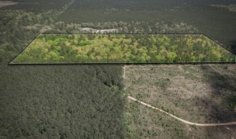 Hwy 160, Benton, LA 71006
