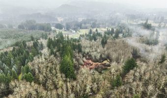 NE 197th Ct, Amboy, WA 98601