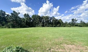 825 Springhill Rd, Alamo, GA 30411
