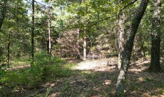 7 N Hall Rd, Antlers, OK 74523