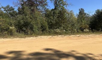 Alene Drive, Alford, FL 32420