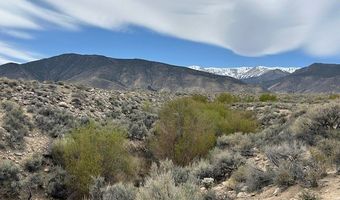 740 CHIATOVICH CREEK Rd, Dyer, NV 89010
