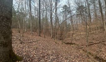County Road 29, Alberta, AL 36720