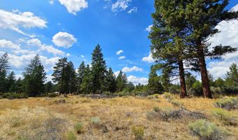 Swan Drive 16 & 17, Bonanza, OR 97623