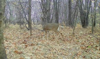 Arlington Street, Aredale, IA 50605