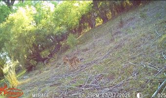 489 County Road 243, Afton, TX 79220