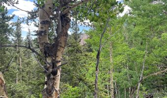 847 County Road 787, Alma, CO 80420