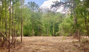 SE Lee Drive, Bogue Chitto, MS 39629