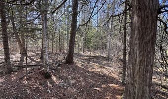 2254 E M30, Alger, MI 48610