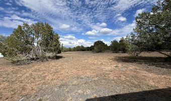 46625 N Jackrabbit Cir, Ash Fork, AZ 86320