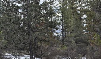 Jaguar Lane lot 7 & 8, Bonanza, OR 97623