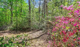 7095 Parkers Ferry Rd, Adams Run, SC 29426