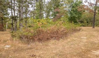 229 County Road 314, Alton, MO 65606