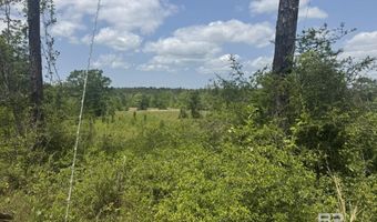 39207 St Hwy 59 Lot 28-02-09, Bay Minette, AL 36507