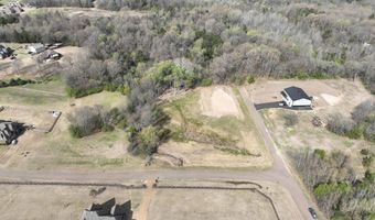 135 THISTLE Dr, Arlington, TN 38002