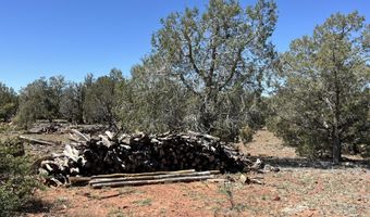 462 Un Named Rd, Ash Fork, AZ 86320