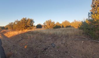 1 COUNTY ROAD N8155, Concho, AZ 85924