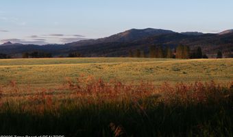 520 TARGHEE TOWNE Rd, Alta, WY 83414