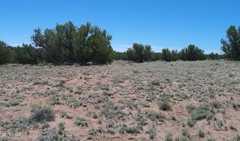 Tbd Rio Ranch, Concho, AZ 85924