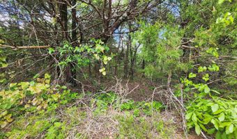 Strawberry Valley Road, Ash Flat, AR 72513