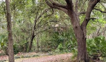 2963 SW Armadillo Trl, Arcadia, FL 34266