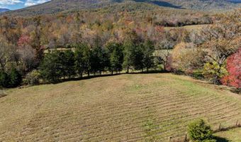 234 CREEK Rd, Afton, VA 22920