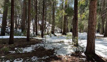 1968 Flamingo Way, Arnold, CA 95223