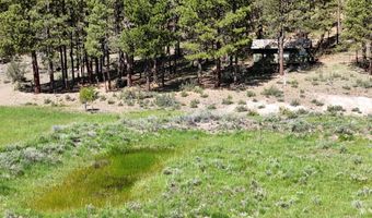 Mile Post 12 Fish Hole Creek, Bly, OR 97622