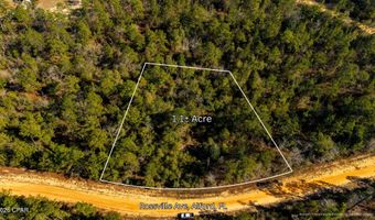 Rossville Avenue, Alford, FL 32420