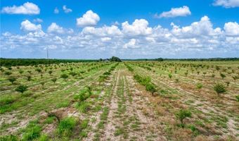 E Reading Drive, Avon Park, FL 33825