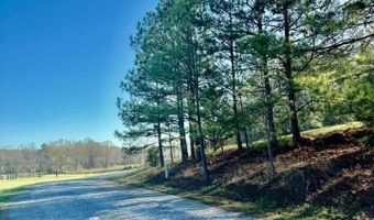 741 Poplar Springs Trl, Ashville, AL 35953