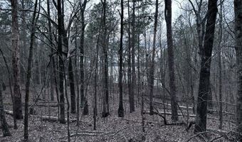 Lot 4 CONSTELLATION DRIVE 2.42 acres, Alpine, AL 35014