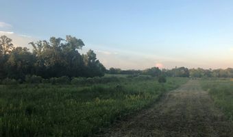 4195 Cedar Springs Rd, Ashford, AL 36312
