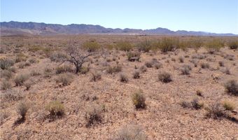 308-22 395 N Palo Verde Dr, Chloride, AZ 86431