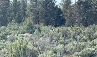 Council Butte lot 7, Beatty, OR 97621