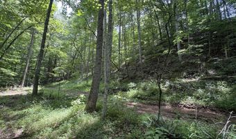 643 Pine Grove Rd, Beattyville, KY 41311