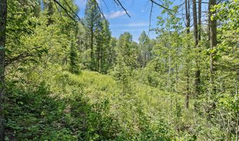 LOT 22 TRAIL RIDGE ROAD, Alpine, WY 83128