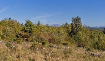 31807 NE 122ND Ave, Battle Ground, WA 98604