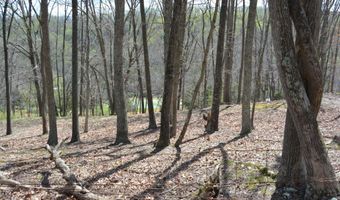 MAJESTIC KNOLL LANE TRACT #9, Capon Bridge, WV 26711