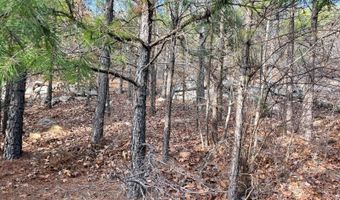 Tract 5 K-Trail, Albion, OK 74571