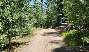 1506 Clarke Mountain Ln, Antonito, CO 81120