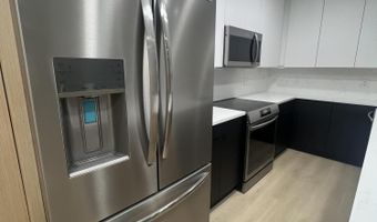 910 W Hallam St 12, Aspen, CO 81611