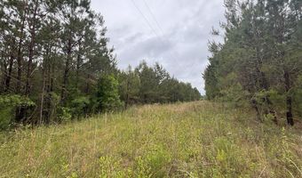 0 Pebble Cove Rd, Abbeville, AL 36310