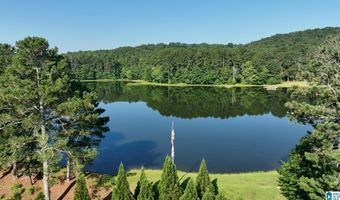 411 DR JENKINS Ln, Altoona, AL 35952