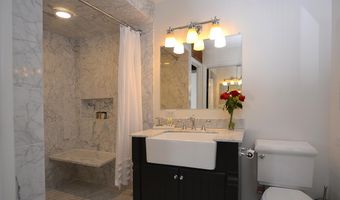 1024 E Cooper Ave 8, Aspen, CO 81611
