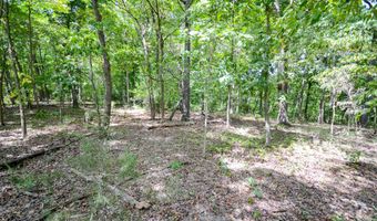 000 Twin Springs Dr 20, Cassville, MO 65625