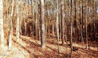 504 247 Country Rd, Bruce, MS 38915